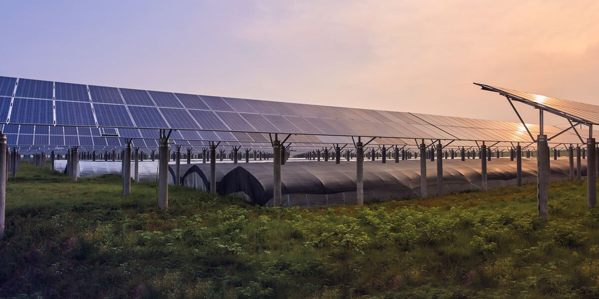 Agrivoltaic Systems A Promising Experience e1759064138972